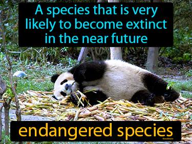 Endangered Species Meaning
