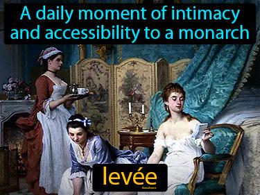 Levee Meaning