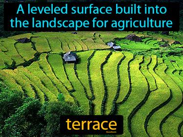 Terrace Meaning
