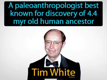 Tim White Meaning