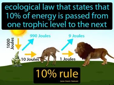 10 Percent Rule Meaning