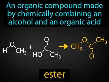 Ester Meaning