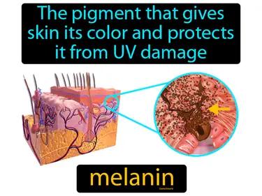 Melanin Meaning