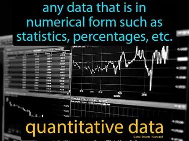 Quantitative Data Meaning