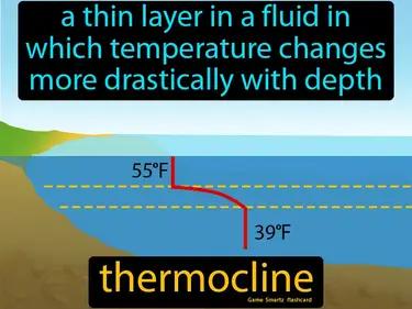 Thermocline Meaning