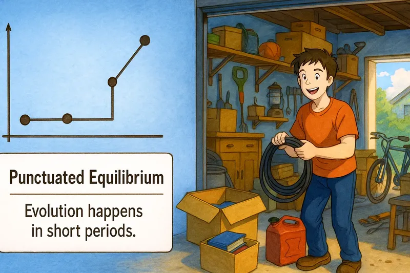 Punctuated Equilibrium Meaning Punctuated Equilibrium Meaning