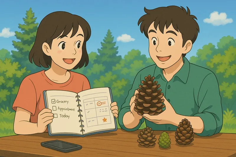 Cone Meaning Cone Meaning