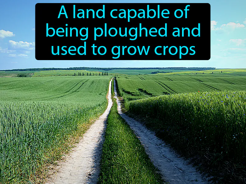 Arable Definition Arable Definition