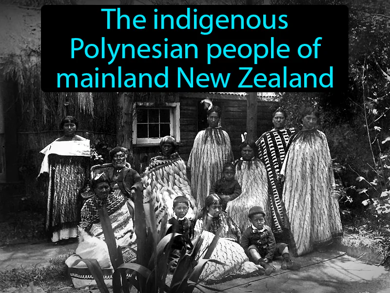 Maori Definition Maori Definition