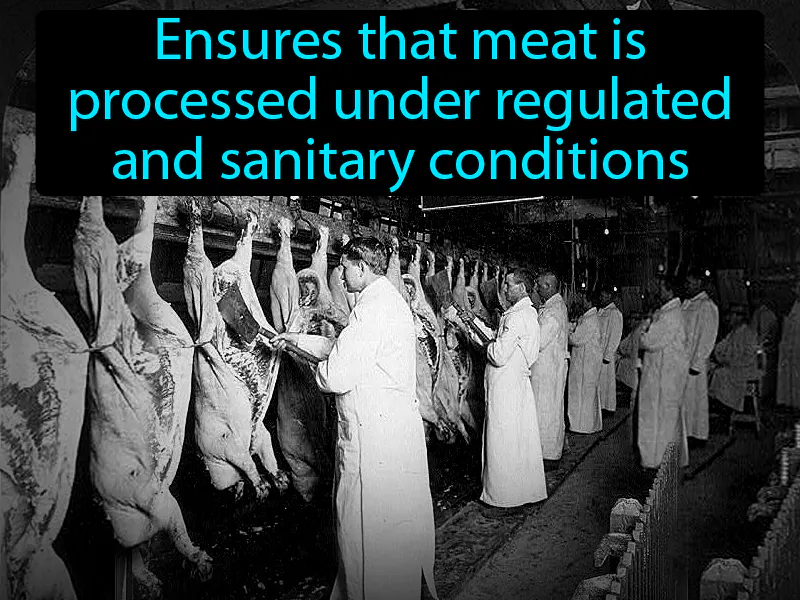 Meat Inspection Act Definition Meat Inspection Act Definition