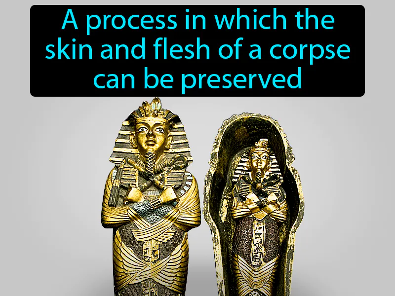Mummification Definition Mummification Definition