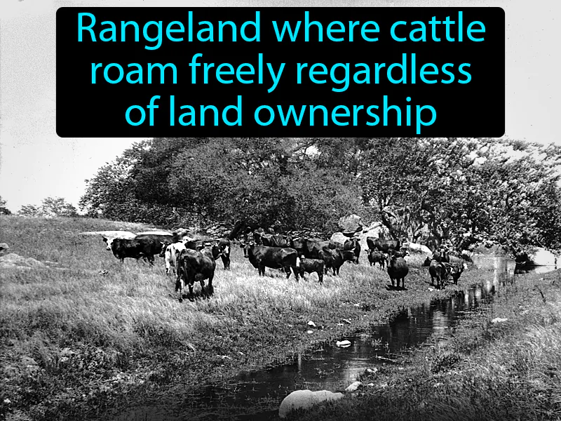 Open Range System Definition Open Range System Definition
