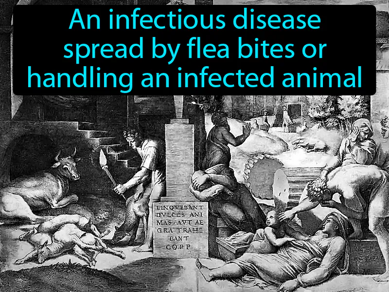 Plague Definition Plague Definition