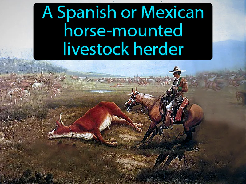 Vaqueros Definition Vaqueros Definition