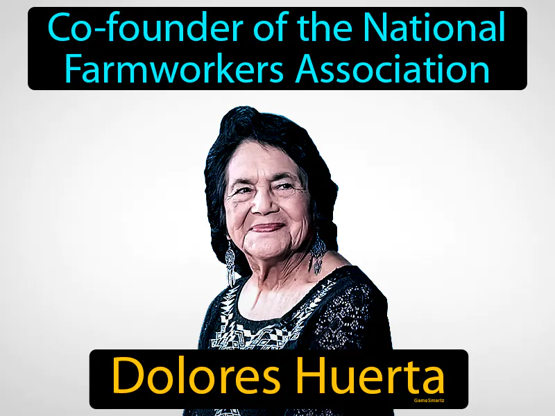 Dolores Huerta Definition Dolores Huerta Definition