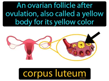 Reproduction and Development