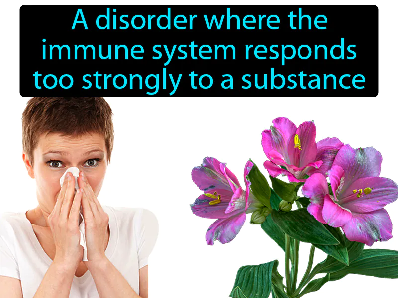 Allergy Definition