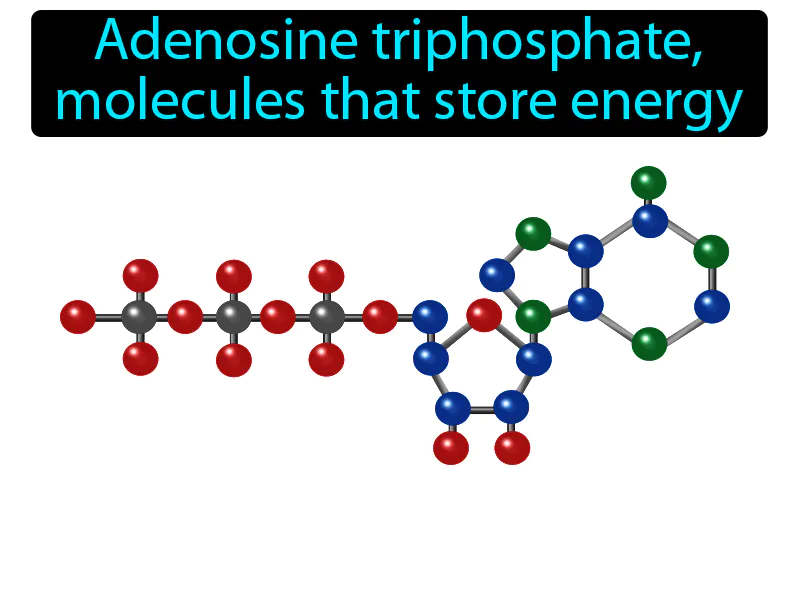 ATP Definition