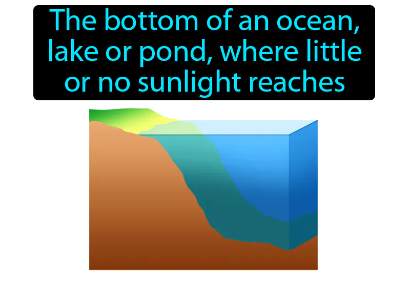 Benthic Zone Definition Benthic Zone Definition