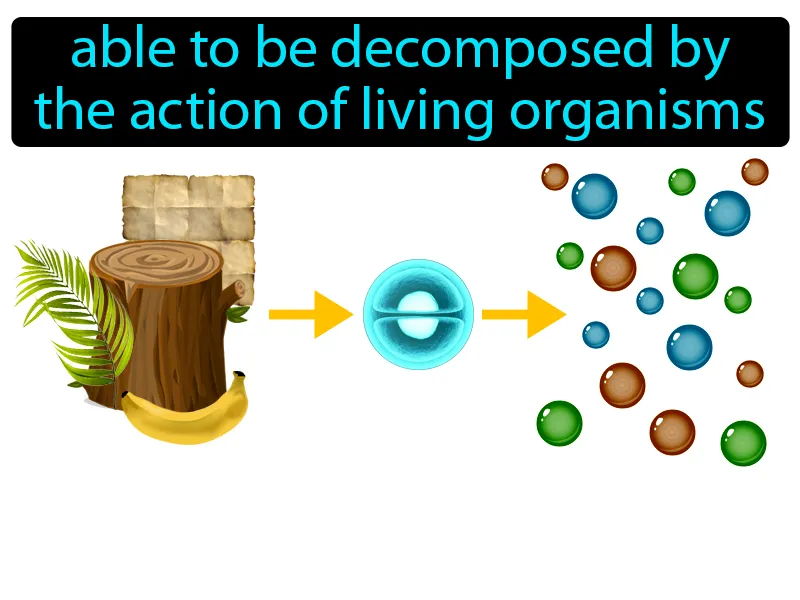 Biodegradable Definition Biodegradable Definition