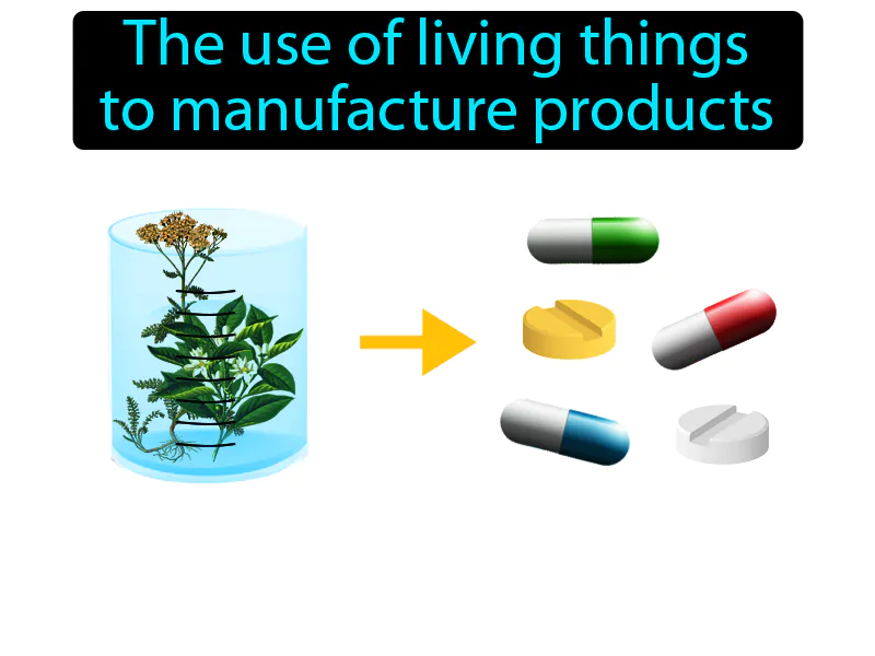Biotechnology Definition Biotechnology Definition