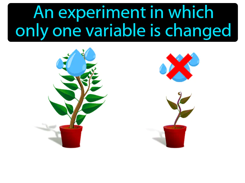 Controlled Experiment Definition Controlled Experiment Definition