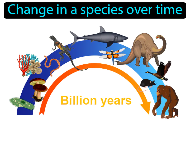 Evolution Definition Evolution Definition