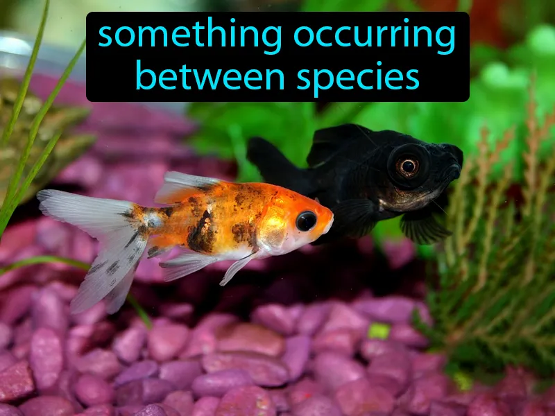 Interspecific Definition Interspecific Definition