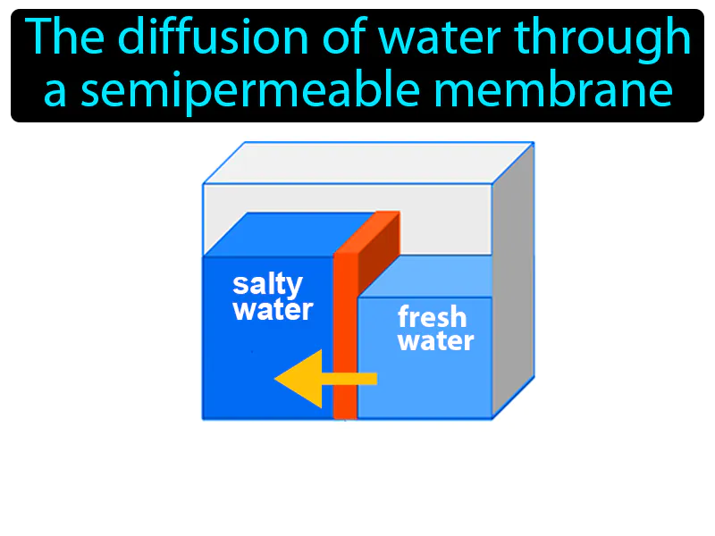 Osmosis Definition Osmosis Definition