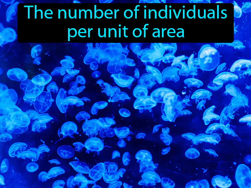 Population Density Definition Population Density Definition