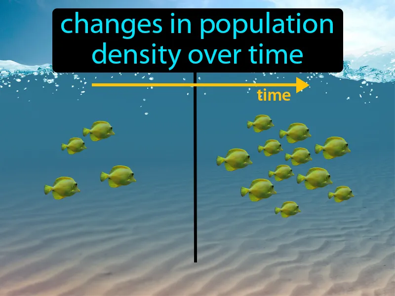 Population Dynamics Definition Population Dynamics Definition
