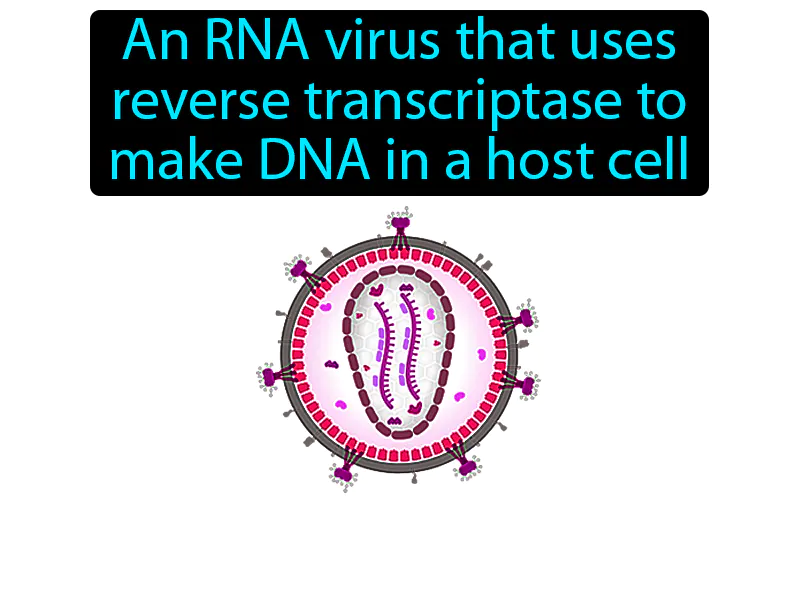 Retrovirus Definition Retrovirus Definition