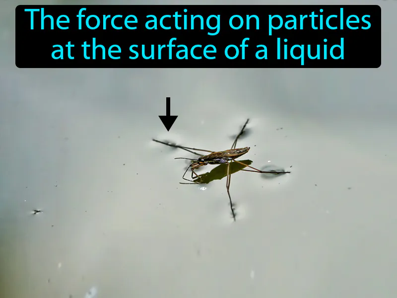 Surface Tension Definition Surface Tension Definition