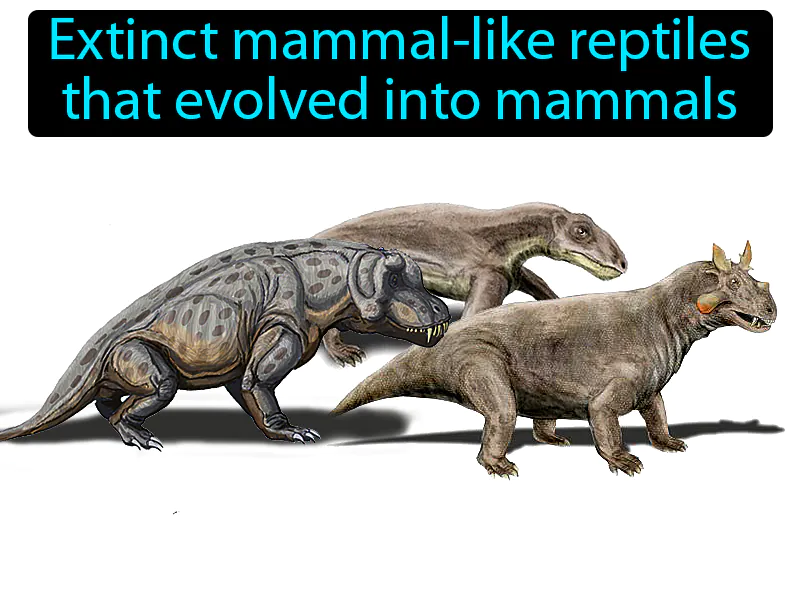 Therapsid Definition