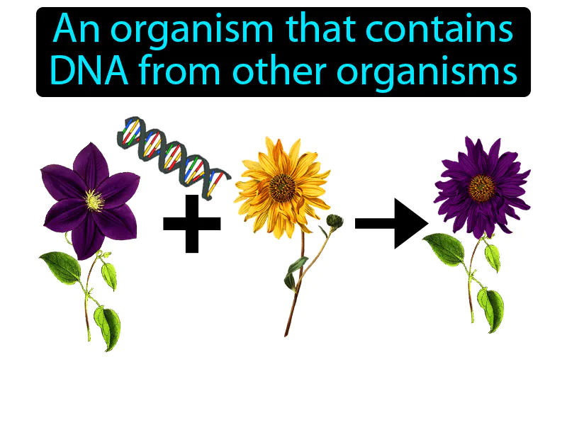 Transgenic Definition Transgenic Definition