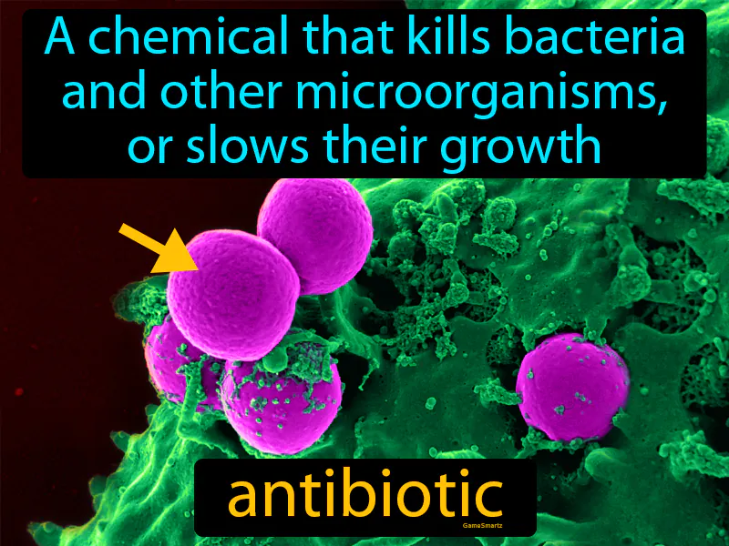 Antibiotic Definition Antibiotic Definition