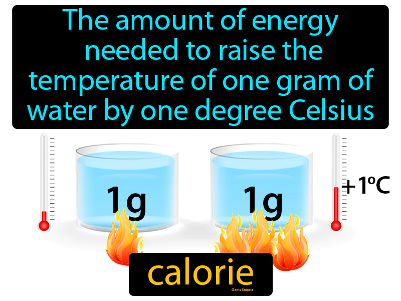 Calorie Definition Calorie Definition