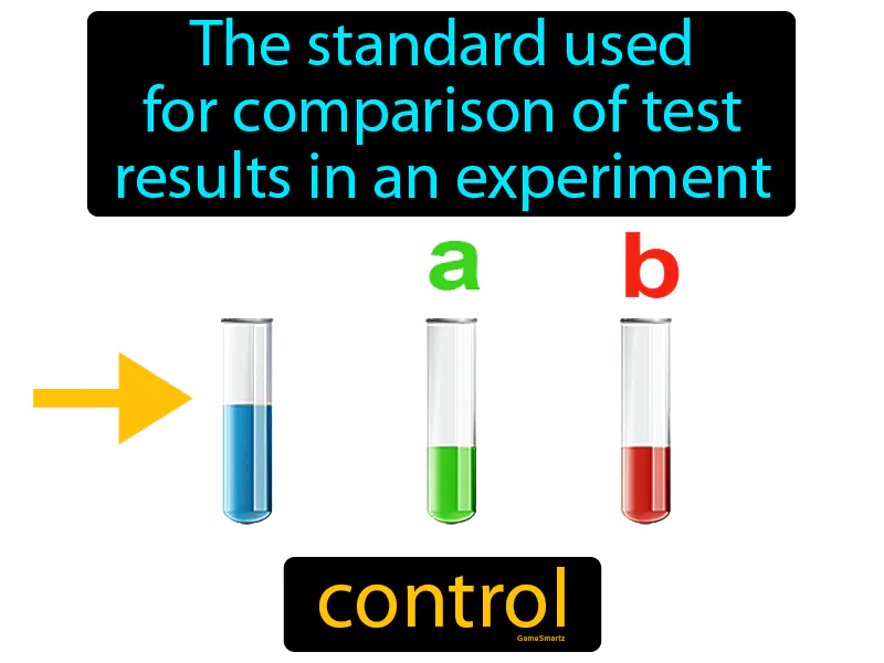 Control Definition Control Definition