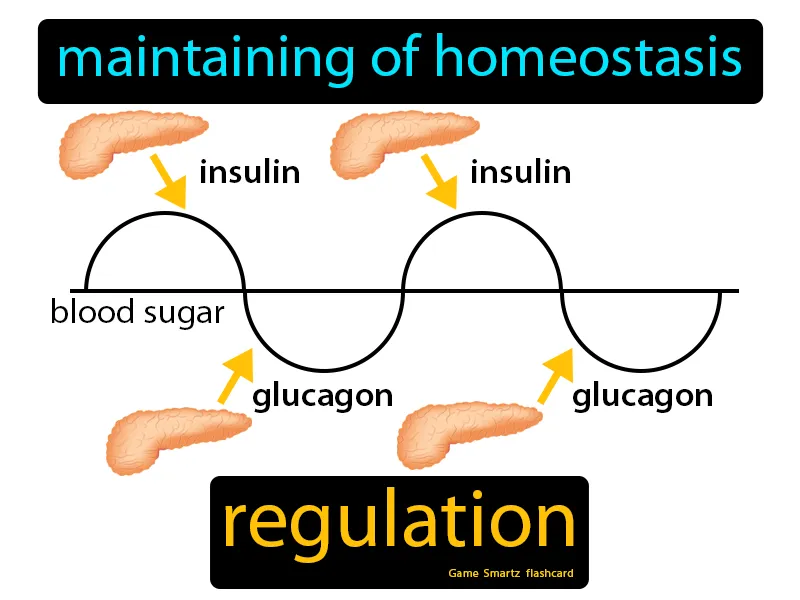 Regulation Definition Regulation Definition