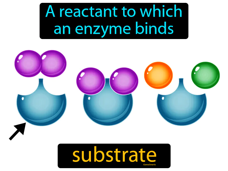 Substrate Definition Substrate Definition