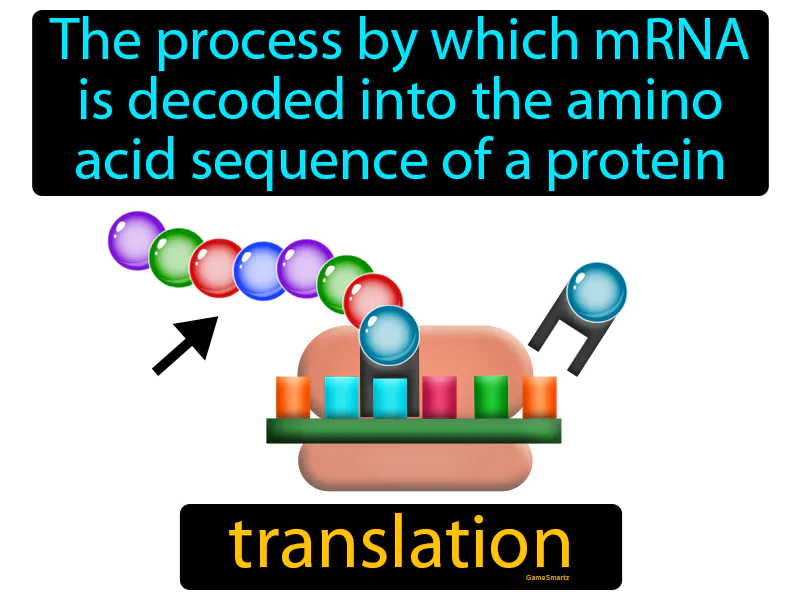 Translation Definition Translation Definition
