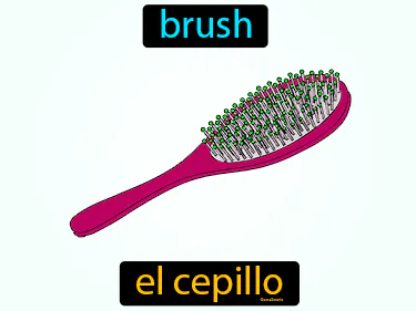 Grooming and Hygiene