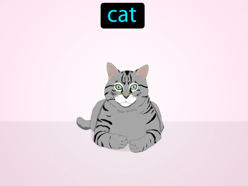 El Gato Definition El Gato Definition