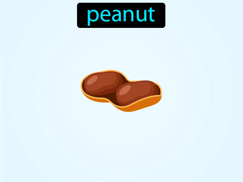 El Mani Definition