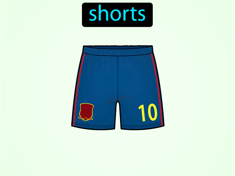 El Pantalon Corto Definition El Pantalon Corto Definition