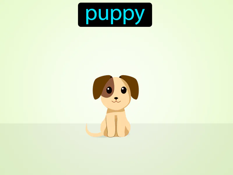El Perrito Definition