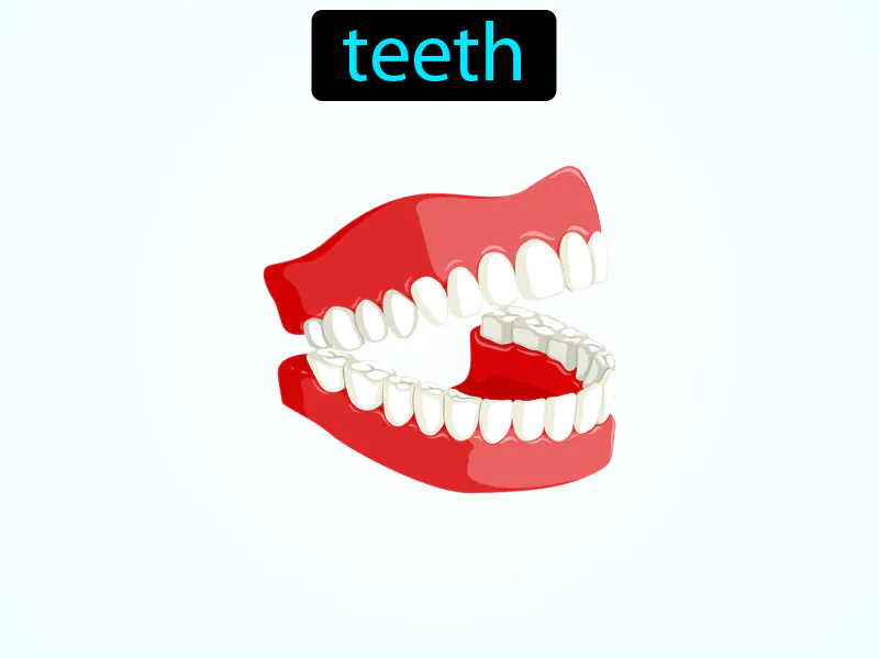 Los Dientes Definition Los Dientes Definition