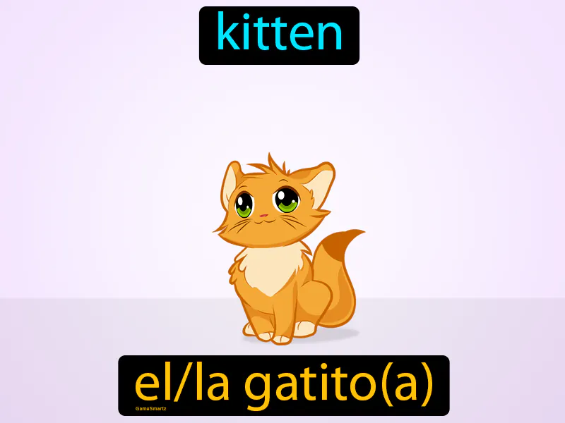 El Gatito Definition El Gatito Definition