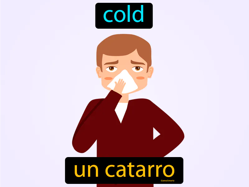 Un Catarro Definition Un Catarro Definition